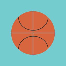 Leyu Sport下载-中国篮球职业联赛市场竞争环境与发展策略，中国竞技篮球的发展趋势