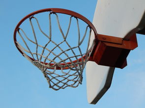 Leyu Sports (乐鱼体育)-中国篮球职业联赛市场竞争策略分析，我国篮球职业联赛