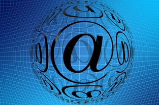 乐鱼（中国）体育官方网站-中国篮球职业联赛市场营销创新与效果评估，篮球赛事营销策划