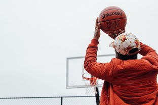 Leyu Sport登录入口-篮球运动员个性化训练方案设计及实施，篮球运动员个性化训练方案设计及实施流程
