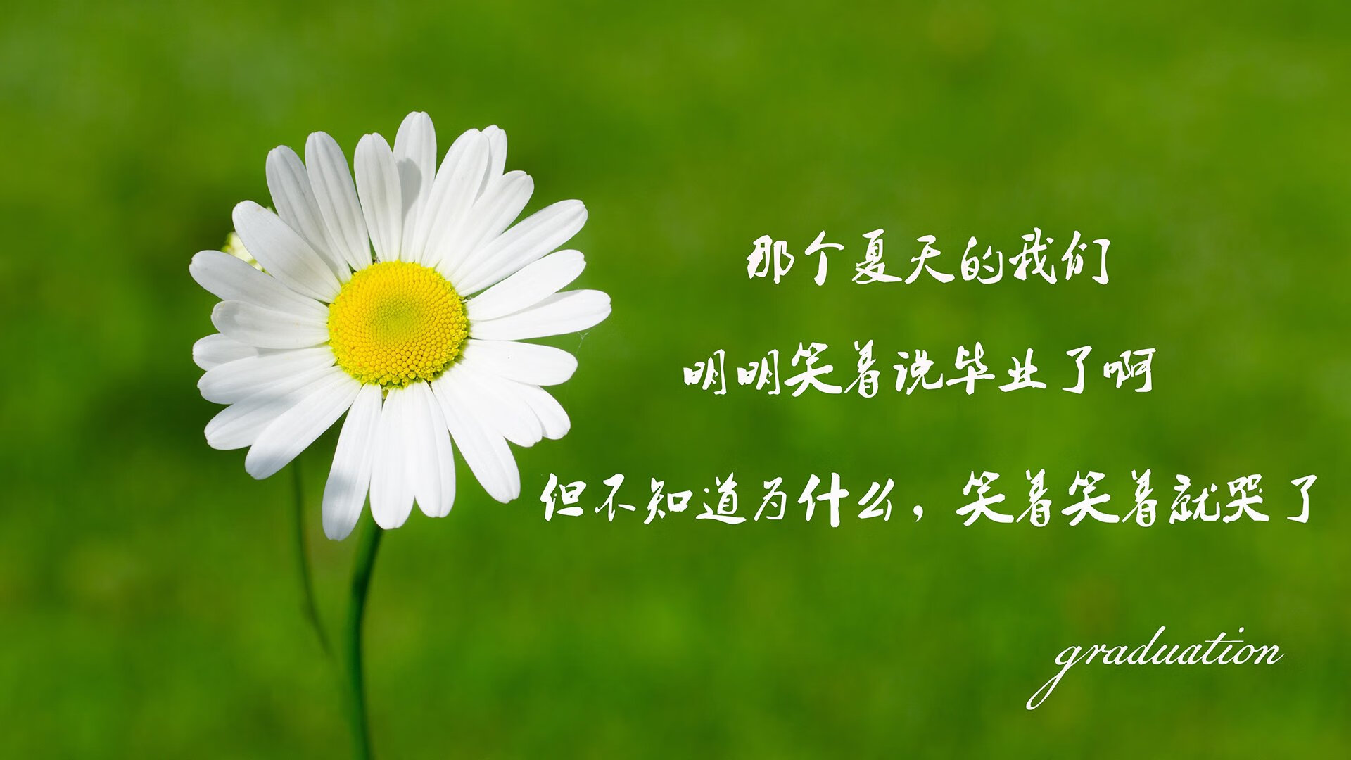 乐鱼（LEYU）体育-英超教练组使用语义转写平台优化临场战术布置效率，英超 教练