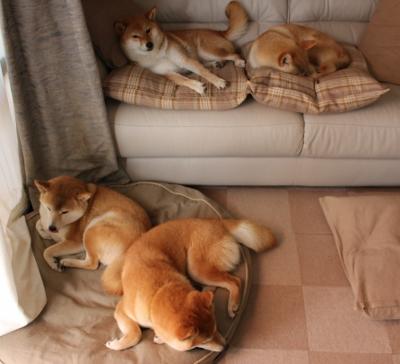 乐鱼电竞在线平台登录入口-中国香港队未来战略：如何通过团体比赛提升全队的竞技状态，足球香港队