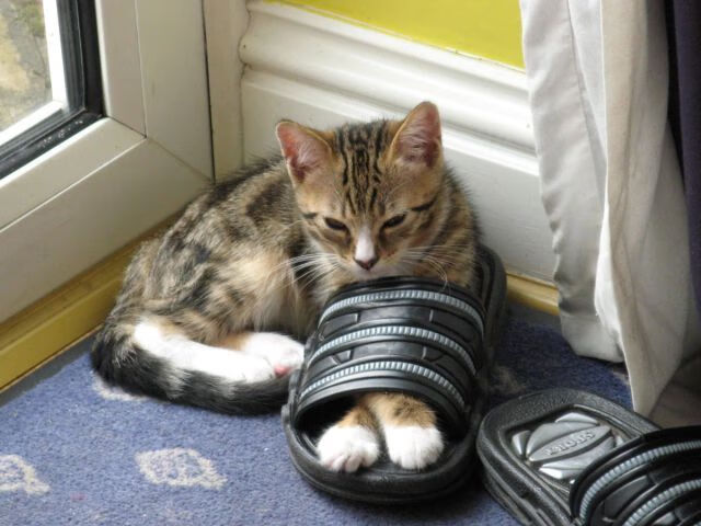 LEYU乐鱼体育官方网站-体育新闻中心推动传统体育文化影像国际化传播，中国体育文化传播的主线重构