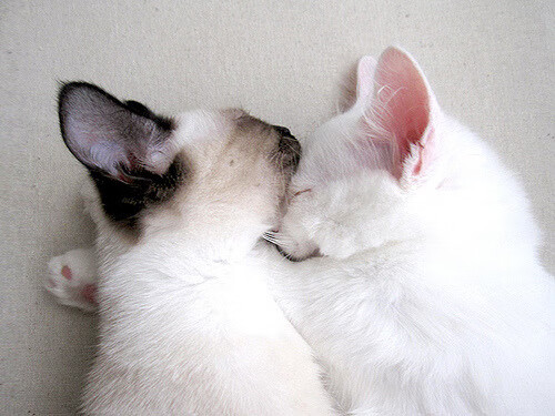 leyu乐鱼-奥预赛中国女足战平 战术调整成最大看点，中国女足打平