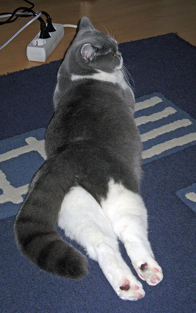 乐鱼体育-小组赛表现超预期，多人刷新个人最佳，2021小组赛规则