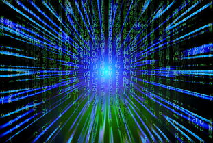 乐鱼体育App下载-新加坡队未来之路：如何在全球乒乓赛事中争夺更多荣誉，新加坡乒乓球厉害吗