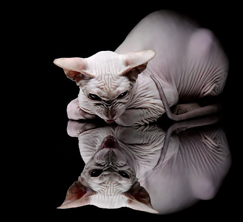 leyu乐鱼官网登录入口-球队在防守端节奏控制是否影响对手出手选择，怎样防守控球队员