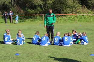 乐鱼官网-瑞典团队战术：从快攻到慢球的多变打法，瑞典几分钟进球