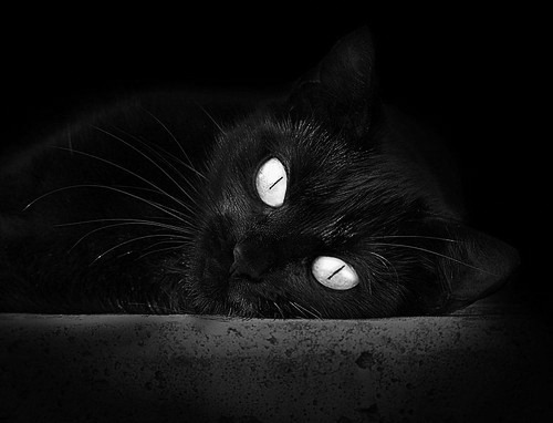 乐鱼电竞· (中国)官方网站-皇家社会战术变化丰富突破空间频现，皇家社会厉害吗