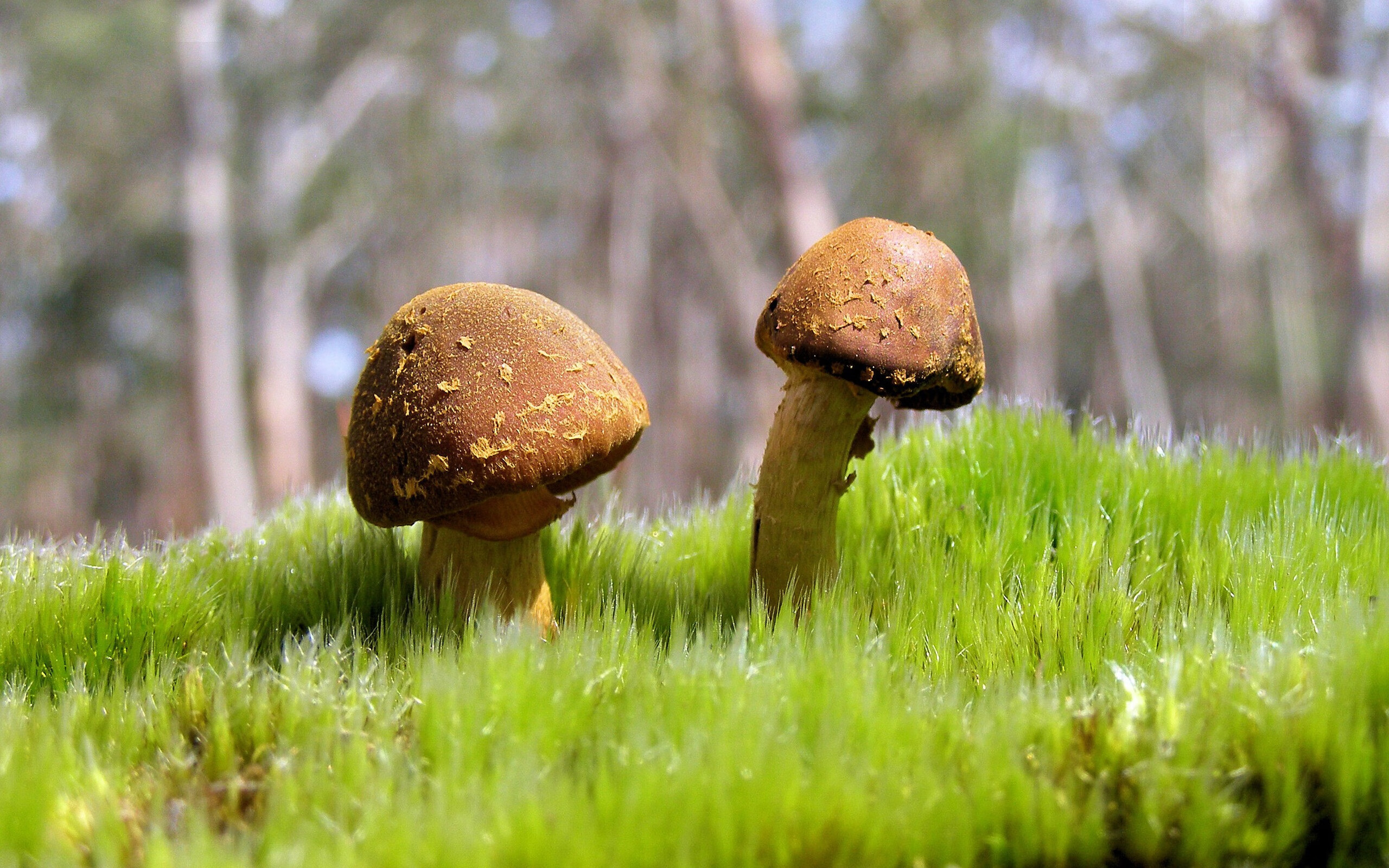 乐鱼体育App下载-世界杯经典瞬间：留下永恒记忆的奇迹！，世界杯经典镜头