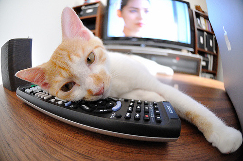 leyu乐鱼体育综合-决赛现场帕金斯奋力拼搏，帕金斯集锦