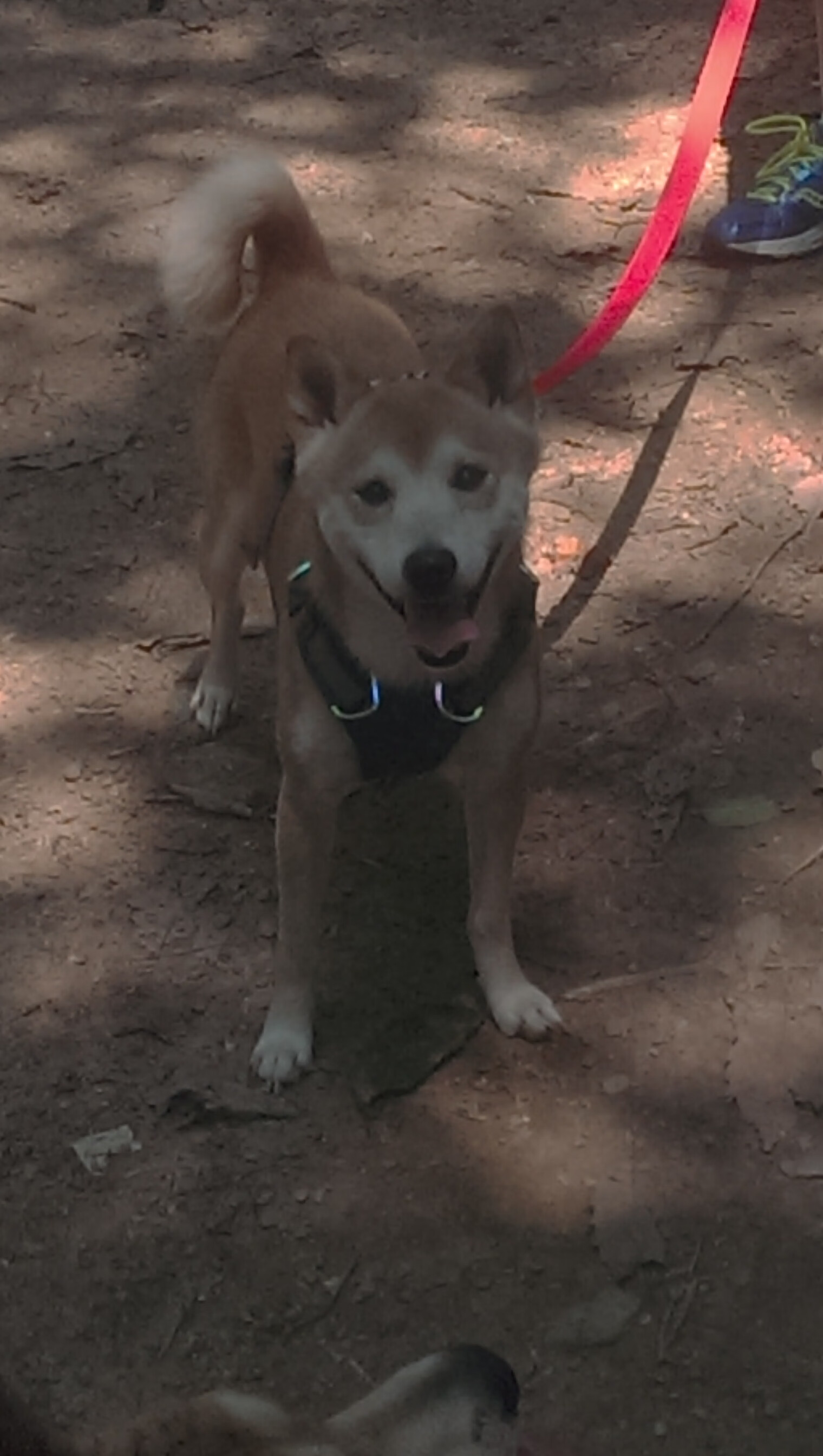 乐鱼电竞在线平台登录入口-凯莉·麦基翁展现出色心理素质，凯莉麦基翁身高