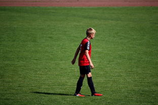 Leyu Sport下载-未来足球场馆将融合智能照明和环境监测系统，绿色科技引领行业