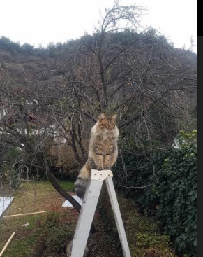 LeyuSports-球员投篮命中率稳步提升新技术分析系统发挥重要作用,投篮命中率表示什么