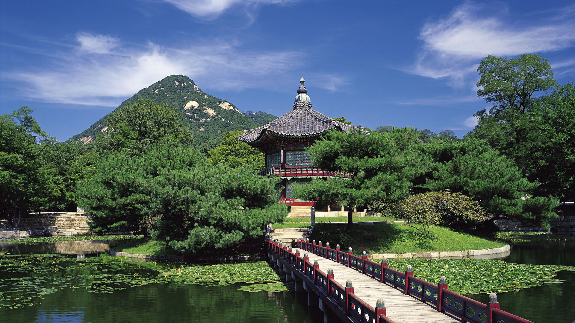 乐鱼（LEYU）体育-美洲杯明星闪耀天际：精彩瞬间不停！，美洲杯角色