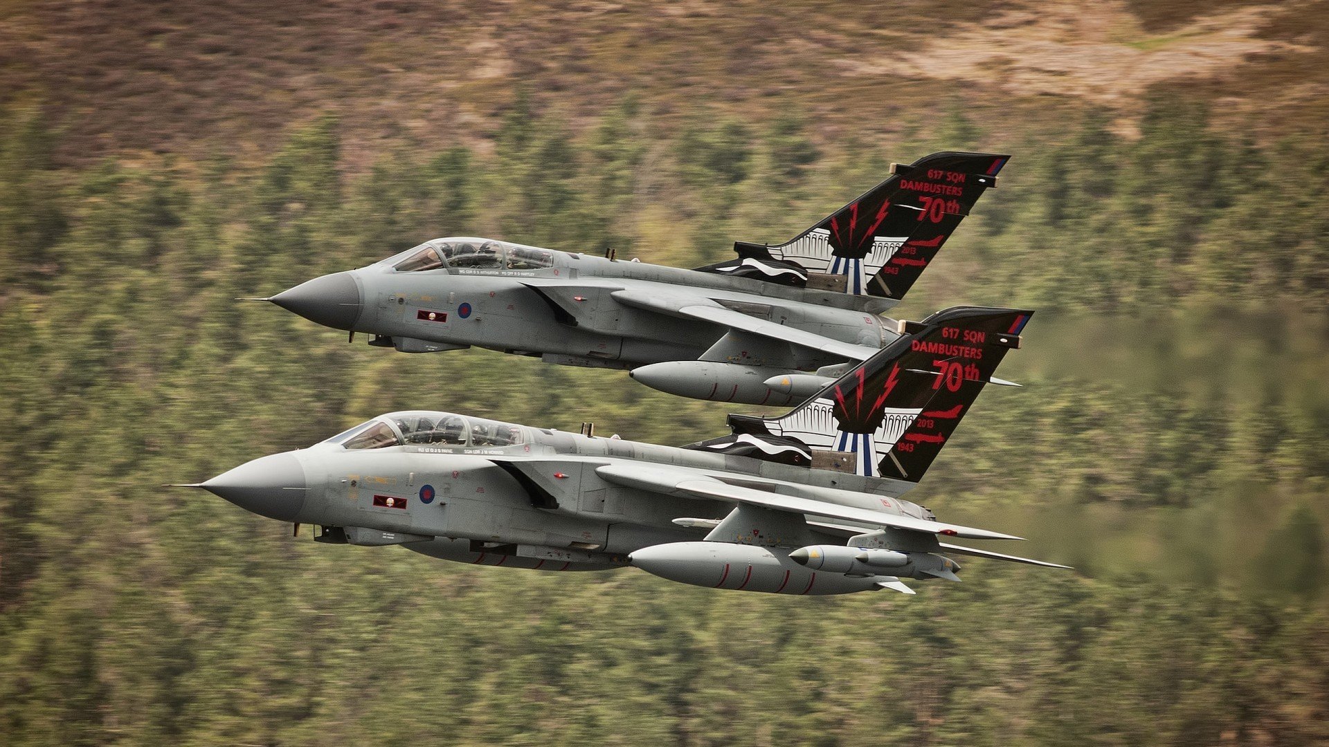 乐鱼体育登录-鹈鹕新援融入迅速成为场上关键角色，鹈鹕 队