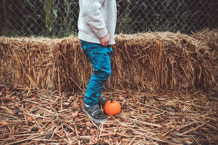 leyu乐鱼官网登录入口-黄蜂老将参加青训营为孩子讲述经验，黄蜂老板