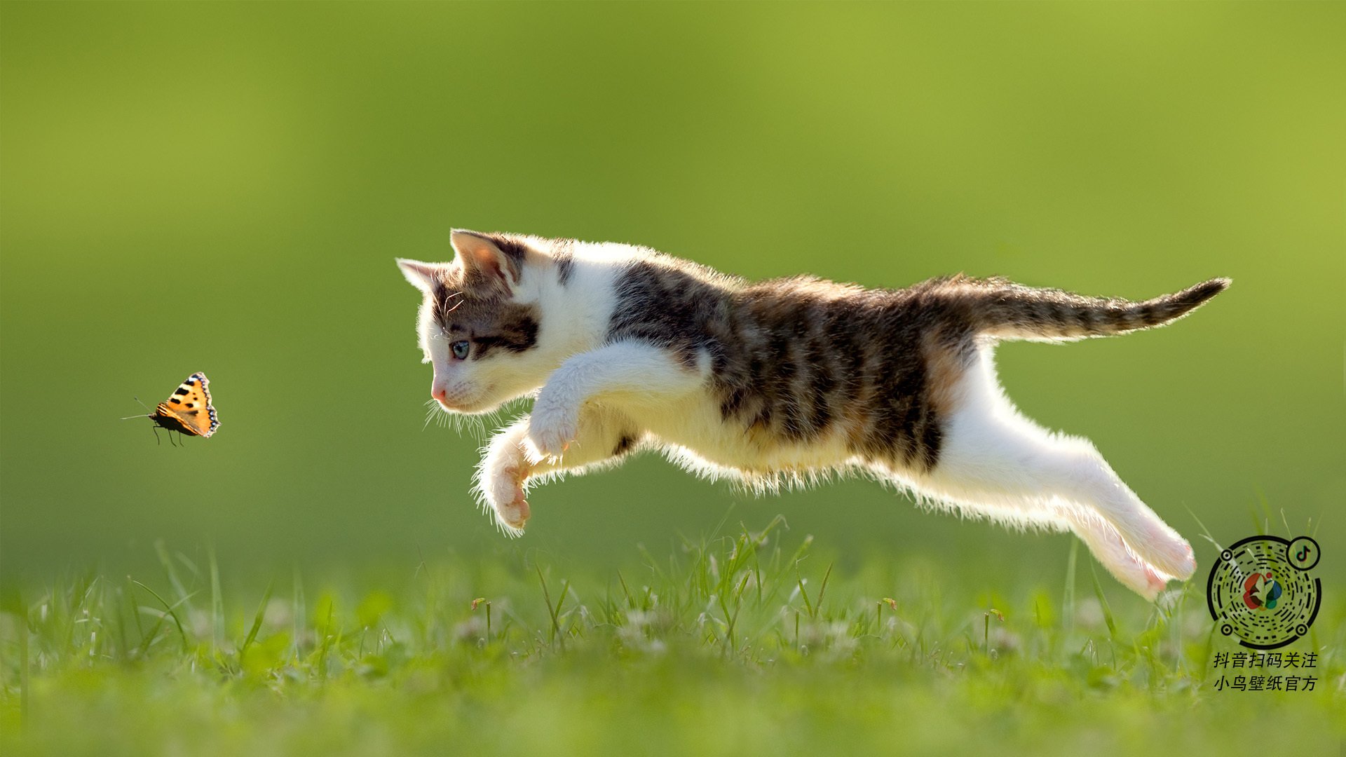 LEYU乐鱼体育官方网站-CBA官宣新赛季分组，山西强势开局，广东伤病成隐忧，cba季前赛山西