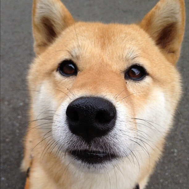 乐鱼app-《冠军》独家：欧文追忆年少成名的青春岁月，欧文总冠军穿的鞋