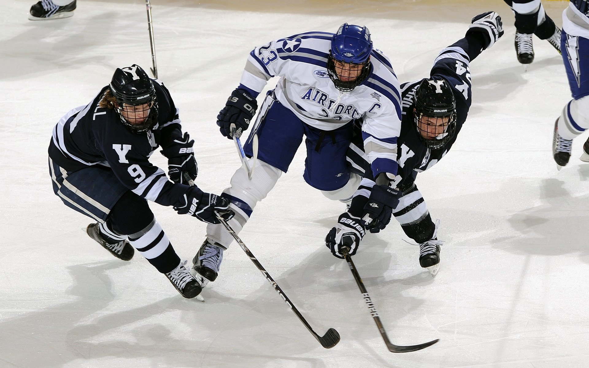 青少年体育电影节展映十余部励志作品，青少年体育节目