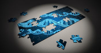 高校体育课程国际比较分析研究，国内高校体育课程现状